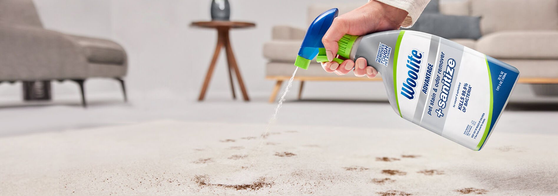 Woolite Advantage Pet Stain & Odor Remover + Sanitize 3327